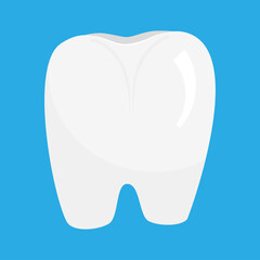 The white tooth is isolated on a blue background. Vector illustration for dentists, clean and healthy tooth..