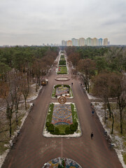 Aerial drone view. Alley in the city park.