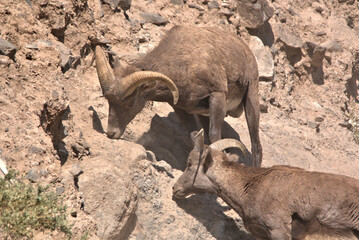 Naklejka premium San Juan Mountains in southern Colorado