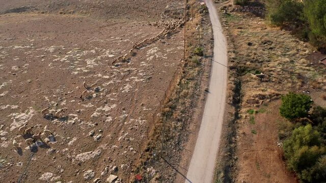 A herd of goats Close to Israel Palestine fence, Aerial view
Drone view Israel, December 2020

