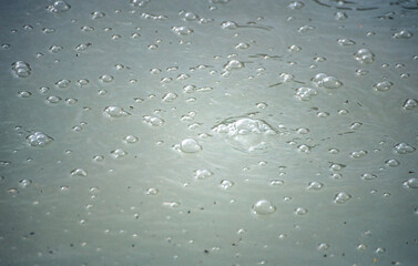 Rising gas bubbles in a hot spring