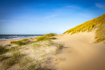 sand dunes at sunset, Texel island, netherlands