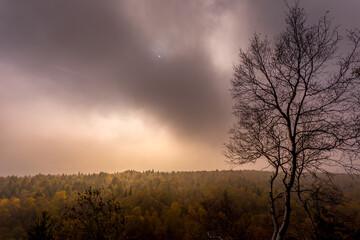Autumn foggy landscape. Autumn foggy morning in the deciduous forest. The low sun shines through the trees and fog and paints in the leaves and tall grass. Mountain landscape around the hill Decinsky 