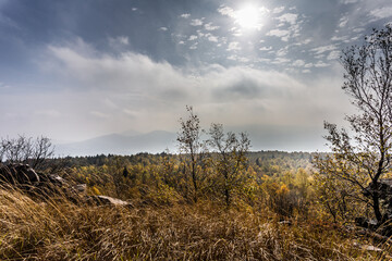 Autumn foggy morning in the deciduous forest. The low sun shines through the trees and fog and paints in the leaves and tall grass. Mountain landscape around the hill Decinsky Sneznik in northwestern 
