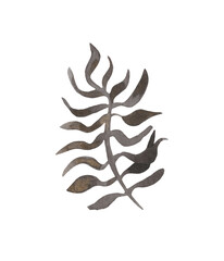 Boho style watercolor plant. An abstract, decorative, stylish image for a variety of design compositions, for the holidays, congratulations or illustrations on product packaging.