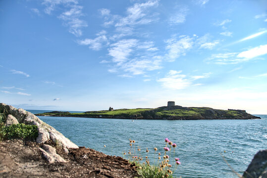 Amazing bright view of Dalkey Island seen from Sorrento Point, Dalkey, Dublin, Ireland. Blue sky and sunny day. Clover flowers in foreground.