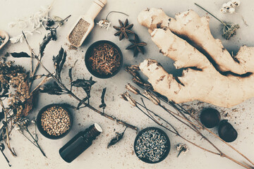 Toned image of medicinal flowers and herbs background, selective focus