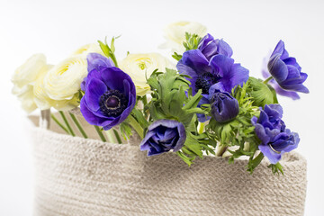 Persian white yellow buttercups and blue anemone in a beige wicker basket