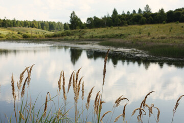 Beautiful lake with clear transparent water among forest and woods in summer, Russia. Inspirational breathtaking travel landscape.  Trendy spicules on foreground. 