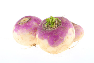freshly harvested spring turnips (Brassica rapa) on a white background Indian turnips