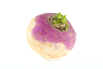 freshly harvested spring turnips (Brassica rapa) on a white background Indian turnips