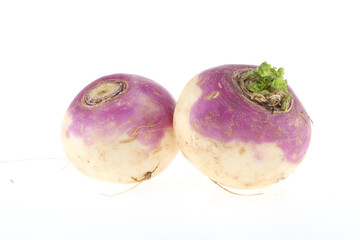 freshly harvested spring turnips (Brassica rapa) on a white background Indian turnips