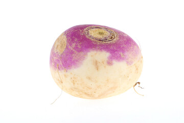 freshly harvested spring turnips (Brassica rapa) on a white background Indian turnips