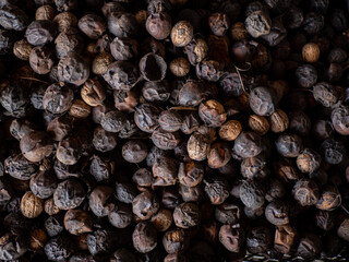 Harvest of biological bio nuts in countryside during autumn, dark background