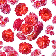 Floral seamless pattern. Pink and red roses are randomly scattered on a white background. Raster illustration.
