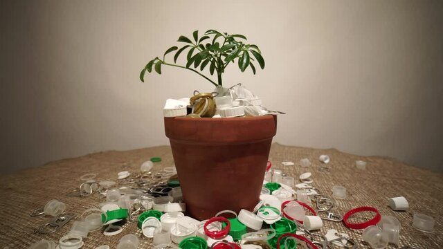Young seedling in pot full of plastic dirt trash. Concept of environmental conservation disaster due overuse of one time plastic and packaging. Green plant in soil or dirt made of plastic garbage.