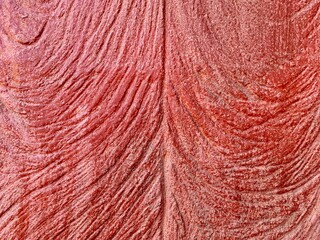 close up of red rope