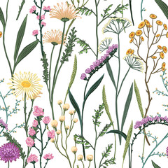 Fototapety  Wild flowers hand drawn vector seamless pattern. Abstract botanical sketches of field plants. Colored vintage floral background. Gentle design for wallpaper, fabric, print, decor, card, textile, wrap.