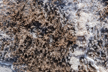 Extreme close up view of salt formations on the surface of Badwater Basin, Death Valley National Park, California, USA