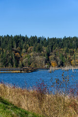 Fototapeta premium Nisqually Estuary Boardwalk Trail on a sunny fall day, Nisqually National Wildlife Refuge, Washington State 