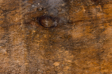 wood board textures - 400451344