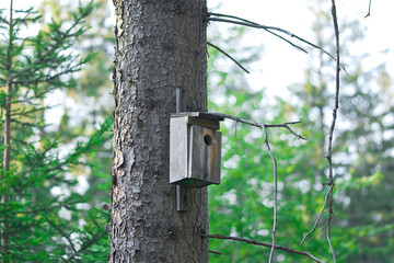 Wooden birdhouse suspended from a tree