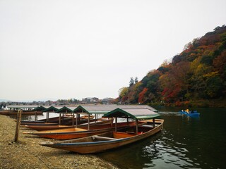 Fototapeta na wymiar Boats on arashiyama river with maple leaf tree in autumn, Kyoto Japan
