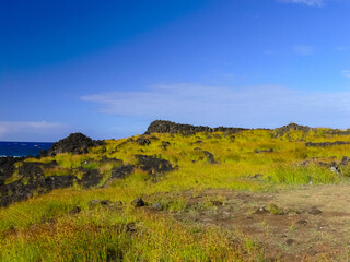 nature of Easter Island, landscape, vegetation and coast.