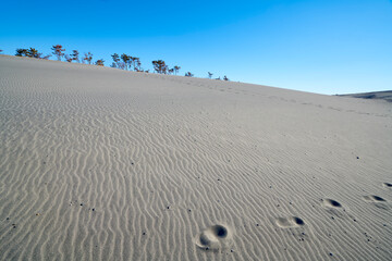 砂丘の傾斜と足跡