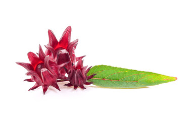 Roselle isolated on white background