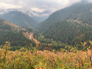 Rainy canyon in autumn with wet road in distance