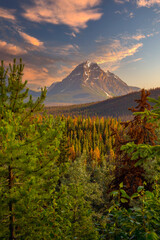 Canada forest landscape with big mountain in the background - 400466310