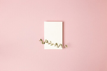 Empty memo paper with eucalyptus leaves on pink background. top view, copy space