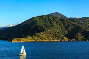 A small sailboat cruises along a mountainous coastline in Queen Charlotte Sound, New Zealand