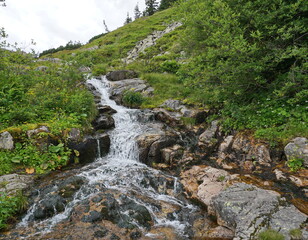Fototapeta na wymiar Bottom view of a mountain stream with waterfalls and green plants around