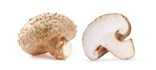 Shiitake mushrooms on white background