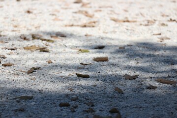 footprint on the sand