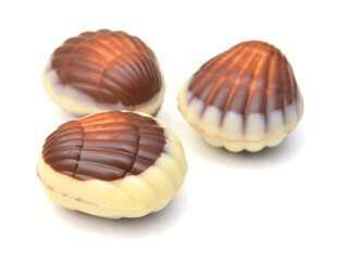 Chocolate seashells isolated on white