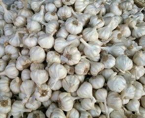 heap of garlic for sell in the market