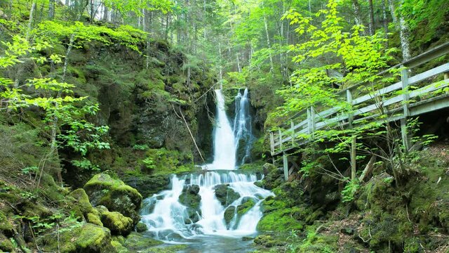 Pristine waterfalls with dense green natural forest trees in the middle of Fundy National Park. Dickson Falls, New Brunswick, Canada. A Time-lapse.