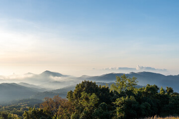 Scenery morning views on Doi Inthanon, pine trees, grasslands, warm sunlight and faint mist.
