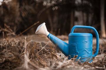 Blue watering can in the garden