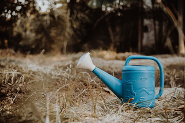 Blue watering can in the garden