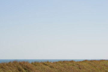 Obraz premium 海と秋枯れ