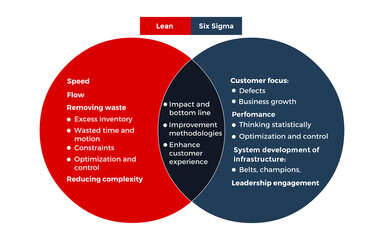 Vector illustration for Lean Six Sigma EPS10