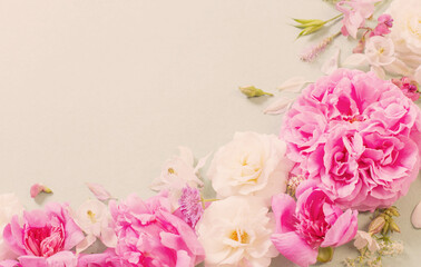 pink and white roses on paper background
