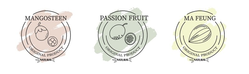Fruits logo icon vector template illustration © Katisko