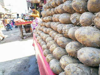 vegetables at the market