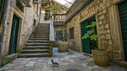 Fototapeta na wymiar Altstadt von Kotor, Montenegro 