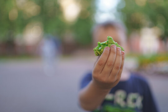 little boy eating macaroon outdoors